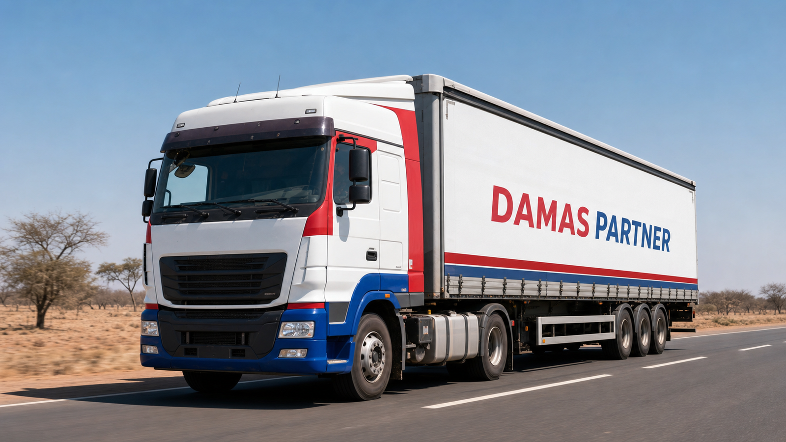 Camion DAMAS PARTNER sur route
