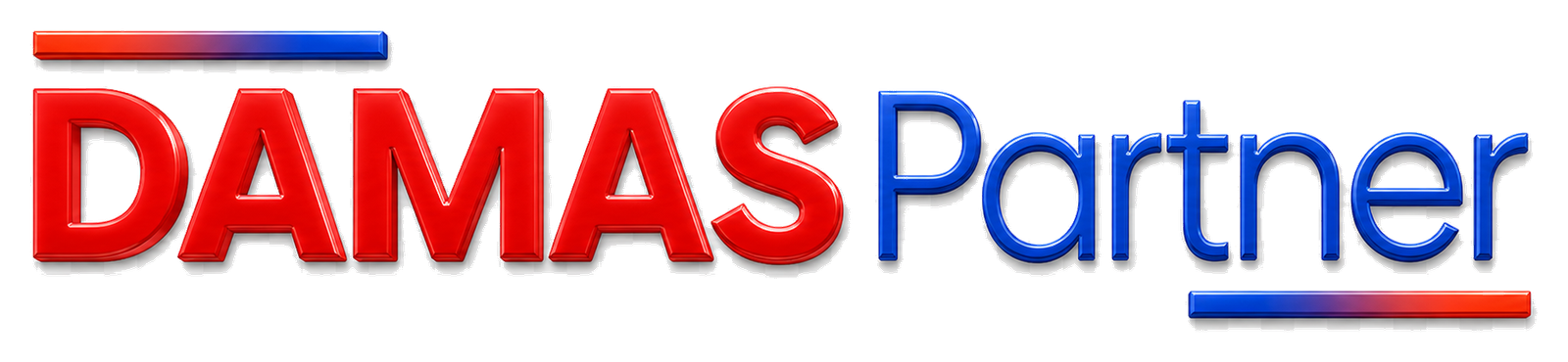 Logo 3D DAMAS Partner